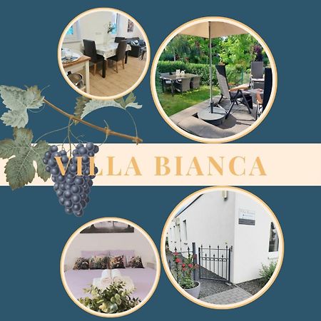 Villa Bianca - Holiday & Business Elsenfeld エクステリア 写真