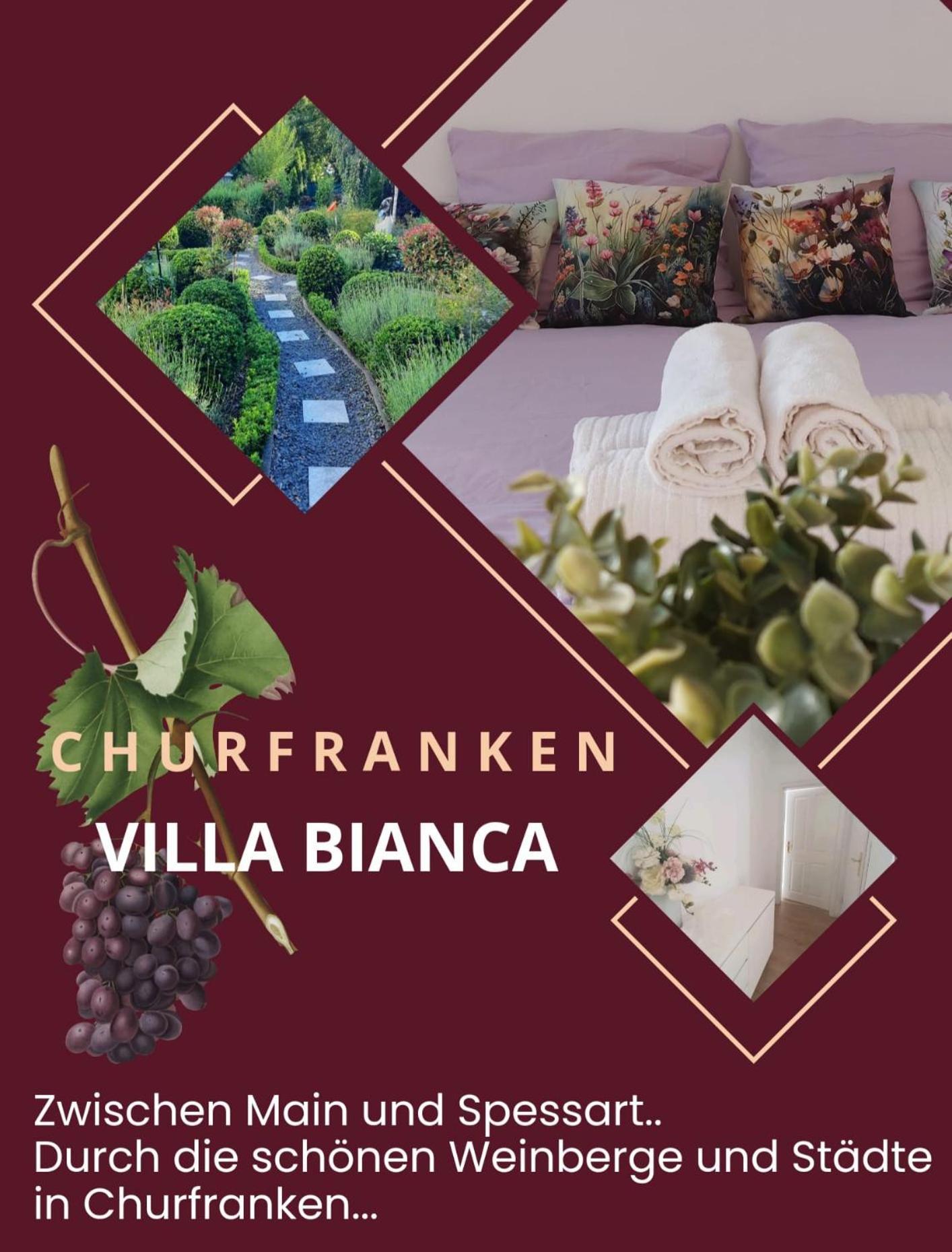 Villa Bianca - Holiday & Business Elsenfeld エクステリア 写真