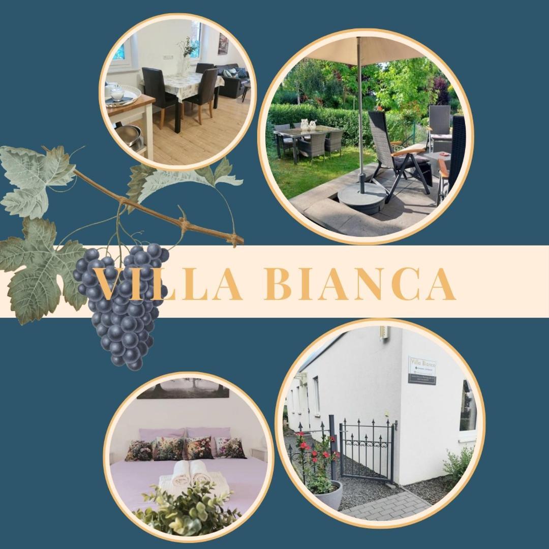 Villa Bianca - Holiday & Business Elsenfeld エクステリア 写真